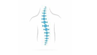 强直性脊柱炎 病因、症状与治疗