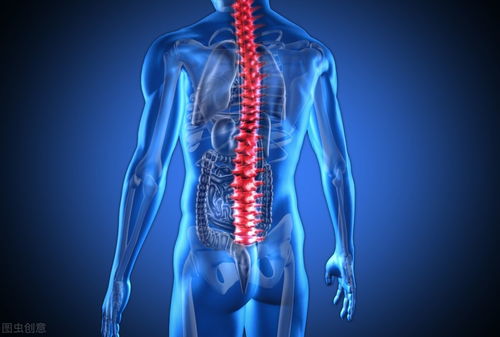 关注脊柱健康，远离强直之痛——全面了解强直性脊柱炎